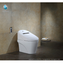 Contemporary Bathroom Elongated One piece Ceramic Intelligent Toilet price